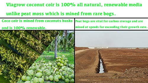 Viagrow Coconut Soilless Grow Media 11 lb 5KG Block