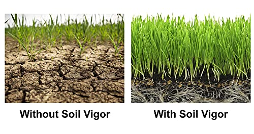 Soil Vigor Potassium Super Absorbent Polymer for Agriculture 45 Pounds White