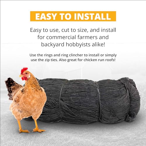 Stromberg's 1" Knotted Heavy Duty Game Bird Netting Black