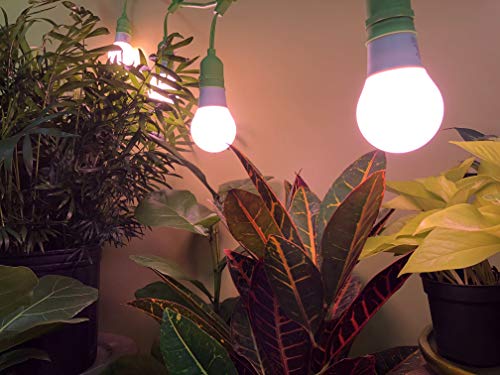 Miracle LED Smokephonics Powervine Indoor Grow Light Kit with Multi-Spectrum Bulbs