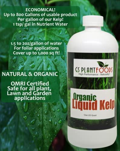 GS Plant Foods Seaweed Fertilizer OMRI Organic Liquid Kelp Concentrate 55 Gallon