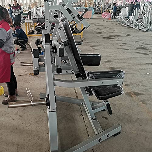French Fitness Marin P/L Lateral Raise Machine New