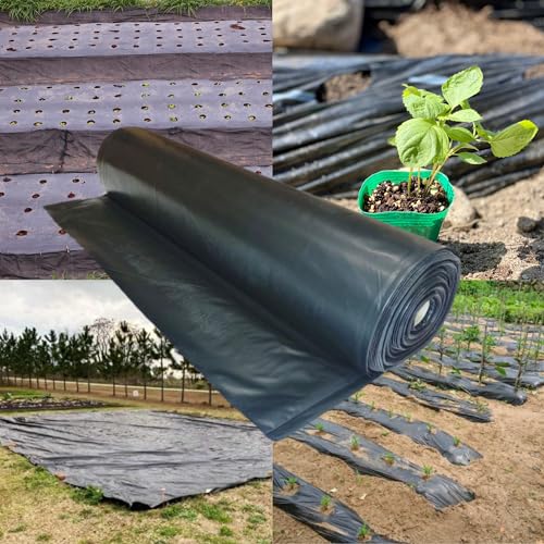 Farm Plastic Supply Heavy Duty Weed Control 6 Mil Black Plastic Sheeting 40' x 200'