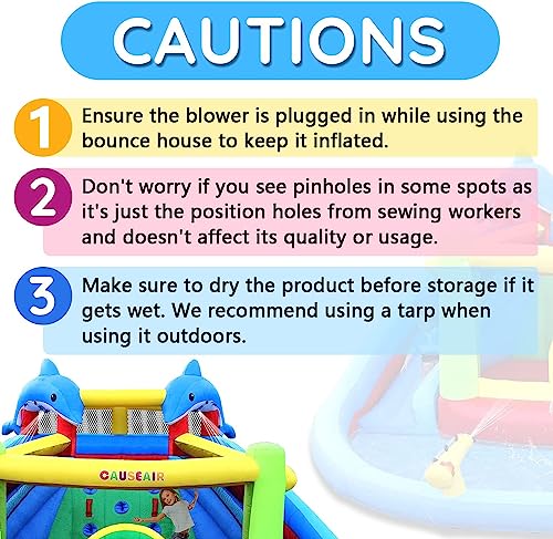 Causeair Inflatable Water Slide & Bounce House with Dolphin Styling Multi