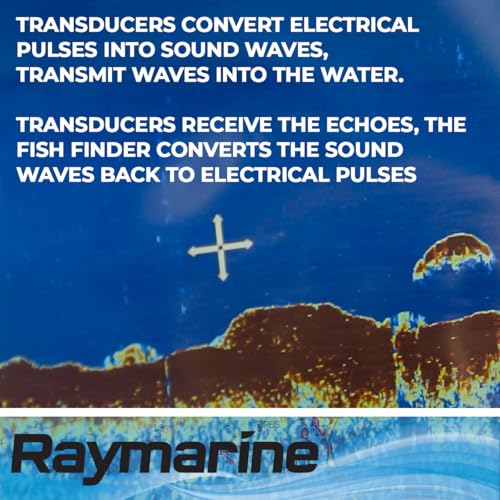 Raymarine FLIR RAYMARINE T70321 M RV-320 3D Plastic 20 Black