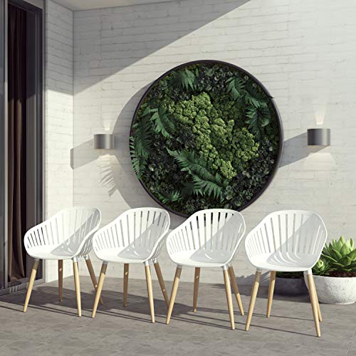 Brampton Patio Athens 11-Piece Outdoor Dining Table Set Light Teak Finish