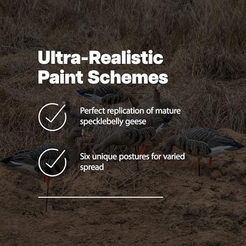 Avian-X AXP Specklebelly Decoy Fusion Pack 18 Pack