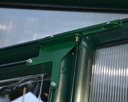 Palram Canopia Rion EcoGrow 2 Greenhouse 6 Ft. x 6 Ft. Dark Green