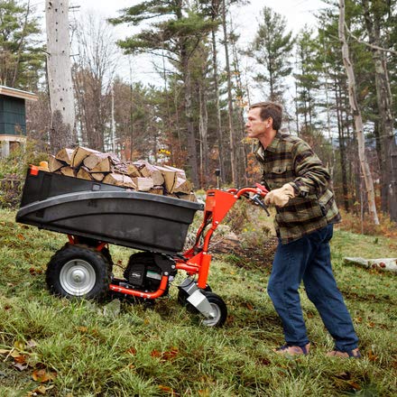 Dr Power Utility Cart Wagon Red