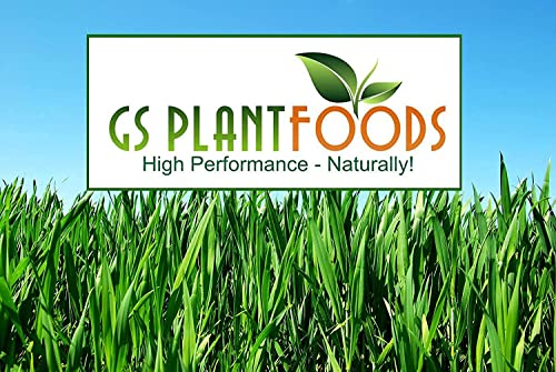 GS Plant Foods All Natural Root Ruckus Organic Liquid Compost 275 Gallon
