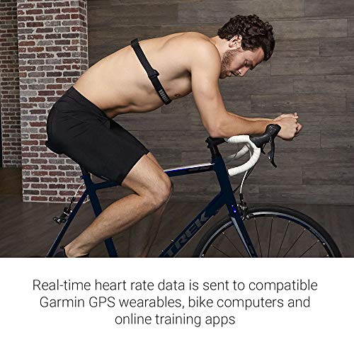 Certified Brands Concept2 RowErg Indoor Rowing Machine with PM5 Monitor | Adjustable Air Resistance with Garmin HRM-Dual Heart Rate Monitor Black
