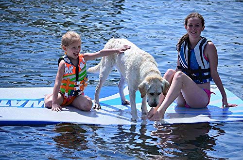 RAVE Sports Water Whoosh Towable, 10'' Grey Whoosh