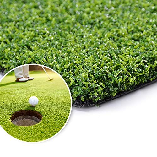 Petgrow Pro Putting Green Artificial Grass Turf 10FTX32FT Custom Width-10FT