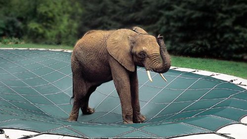 Loop-Loc Safety Pool Cover - 25' x 45' Green