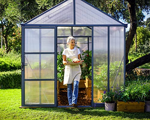Palram Canopia Glory 8x12 Ft. Greenhouse Kit with Lockable Door and Vent Gray