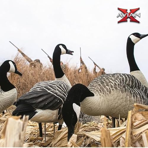 Avian-X AXP 6 Piece Honker Sentry Goose Decoy Set