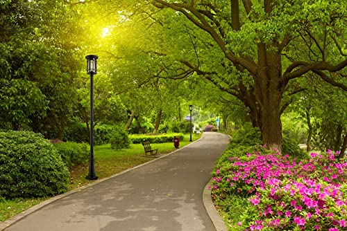 Z-Lite 1 Light Outdoor Post Mounted Fixture Oil Rubbed Bronze