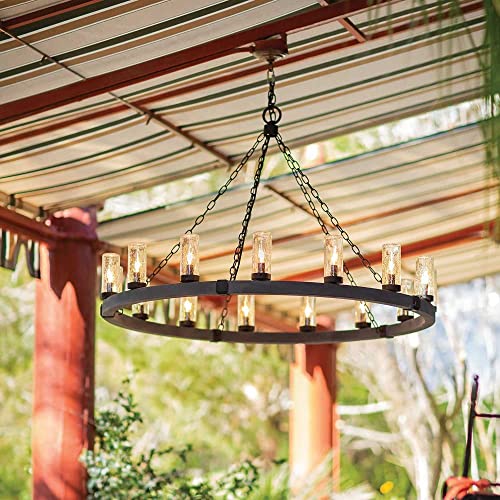Bailey Street Home Industrial Farmhouse Twelve Light Chandelier Black