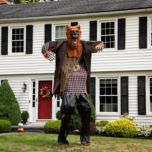 Northlight Huge Lighted Animated Talking Werewolf Halloween Decoration 12'' Brown
