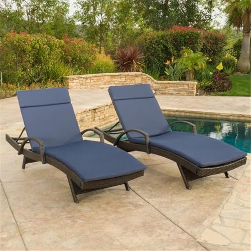 Noble House Salem Outdoor Adjustable Wicker Chaise Lounge Set of 2 Brown