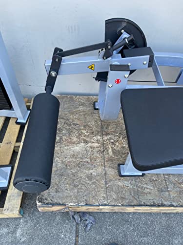 French Fitness Shasta Prone Leg Curl (New)