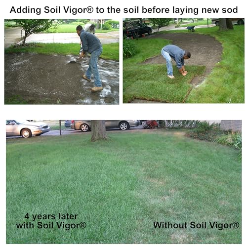 Soil Vigor Potassium Polymer Soil Moisture Retainer 45 Pounds White