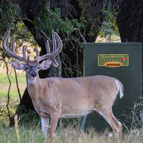 Texas Hunter Products Hide-A-Way Directional Wildlife Feeder 500lb Capacity Hunter Green