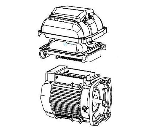 Pentair Superflo 342001 Motor/Drive Assembly Almond