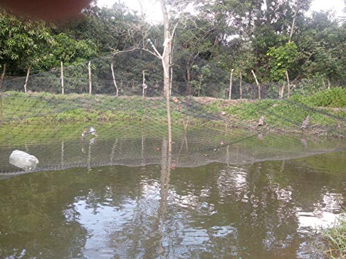 OldMacDonald Professional Grade Bird Netting 14ft x 4920ft Black