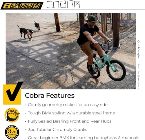 Eastern Bikes Cobra BMX Freestyle Bike 20 Inch Teal