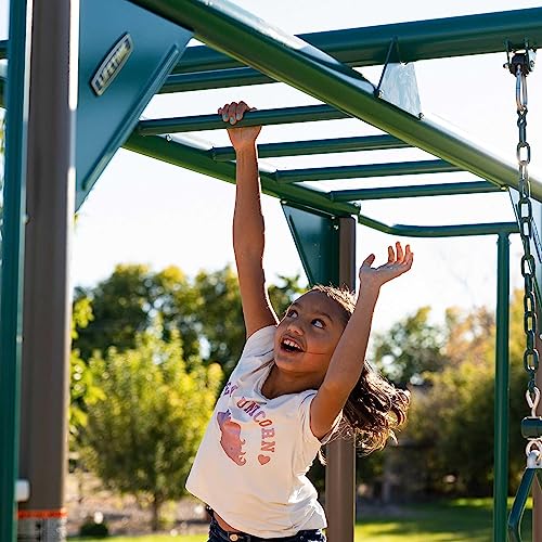 Lifetime Big Stuff Deluxe Swing Set Playset Earthtone