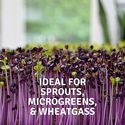 Handy Pantry Micro-Mats Hydroponic Grow Pads 500 Pack White