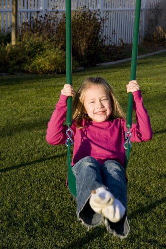 Lifetime Metal Swing Set Earthtone