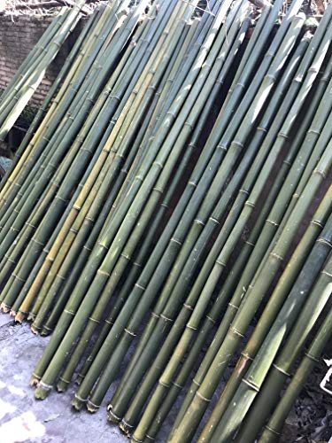Zhu Tonkin Bamboo Fly Rod 7'6" #4 2 Piece with 2 Tips Yellow