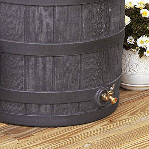 Good Ideas Rain Wizard 50 Gallon Plastic Outdoor Rain Barrel Water Collector with Brass Spigot, Oak