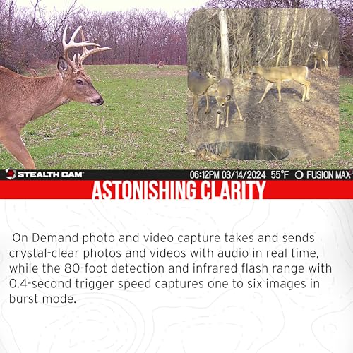 Stealth Cam 36MP Fusion Max Cellular Trail Camera Bundle with 10x Accessories