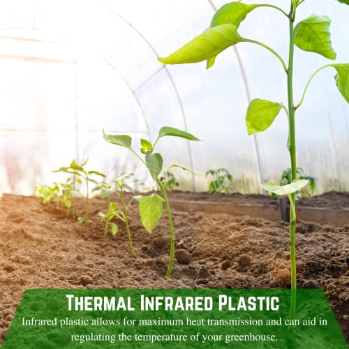 Farm Plastic Supply Clear IRAC Greenhouse Plastic Sheeting 6 Mil 40' x 80'