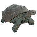 Design Toscano Grand Scale Wildlife Galapagos Tortoise Statue Full Color