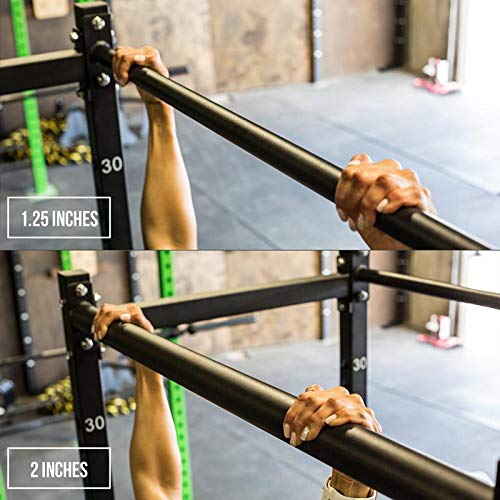 FringeSport Free Standing Squat Cage Black