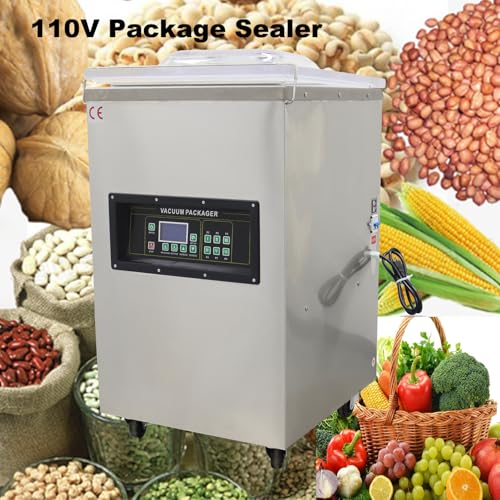 Banfluxion 110V Single Chamber Vacuum Packaging Machine 900W Silver