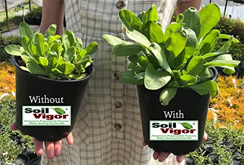 Soil Vigor Potassium Water Storing Polymer Crystal for Soil Aeration 45g