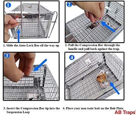 AB Traps Quality Live Animal Humane Trap for Rats, Mice, and Rodents - Small 10.5" x 5.5" x 4.5" 100-Pack
