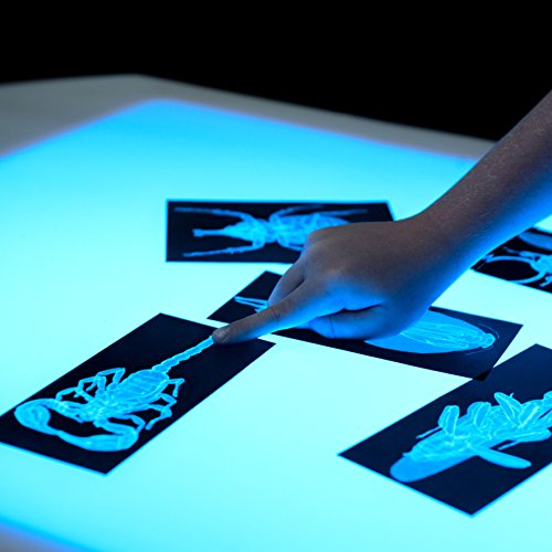 Wood Designs 30" Brilliant Light Table Natural