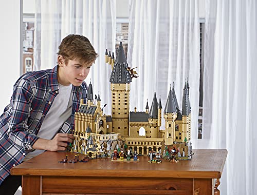 LEGO Harry Potter Hogwarts Castle 71043 Building Set Multicolor