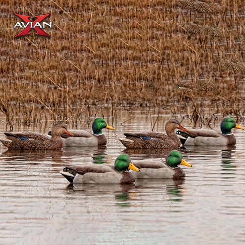 Avian-X AXP Full Body Mallards Decoy 18 Pack Multicolor