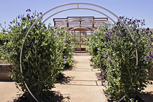 Terra Trellis Original Gracie Modern Arbor Moongate Oxide