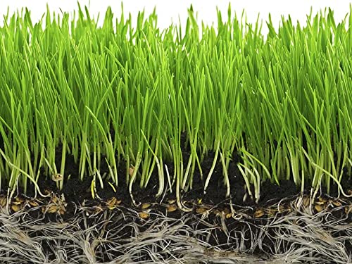 Soil Moist SAP Water Storing Crystals Polymer Small Granular 20-100 Mesh White