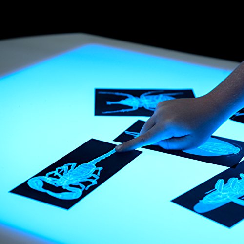 Wood Designs 48" Brilliant Light Table Natural
