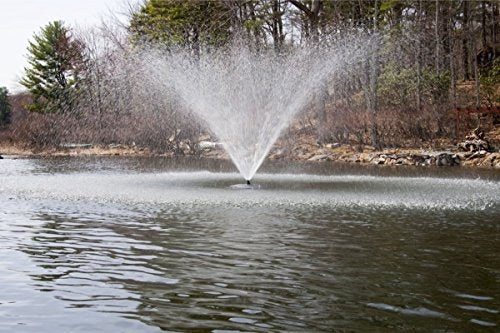Fawn Lake Fountains 1HP Floating Pond and Lake Fountain Black