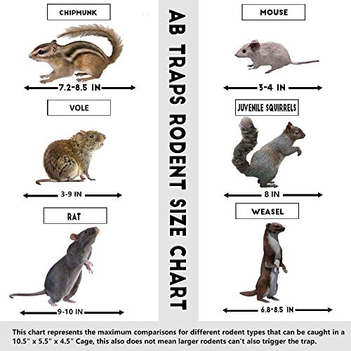 AB Traps Humane Live Animal Trap Cage for Rats, Mice, and Squirrels - Small 10.5" x 5.5" x 4.5" 40-Pack